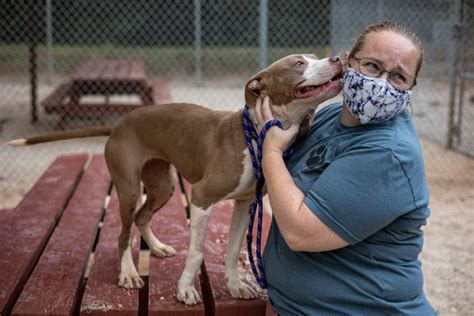 Athens clarke county animal shelter - 